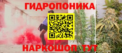 тгк Белореченск