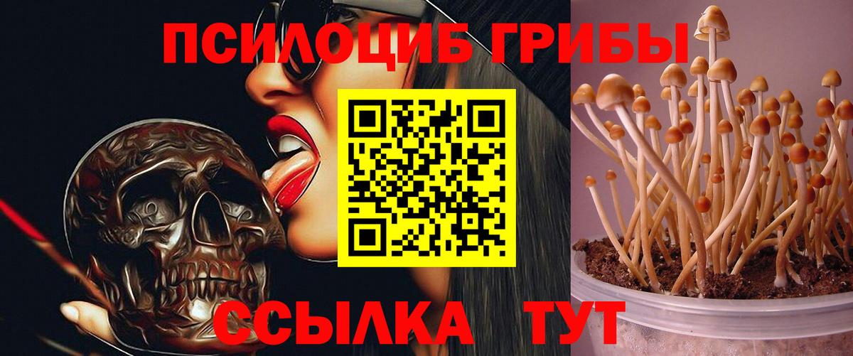 Галлюциногенные грибы прущие грибы Горячий Ключ